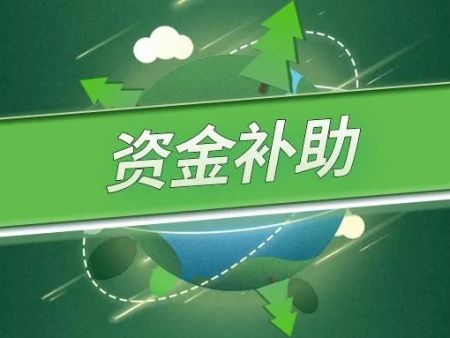 政府补助资金申请